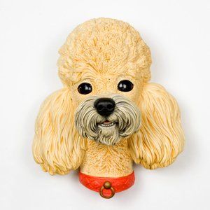 Bosson's Chalkware Head Poodle 4 1/2 inches Tall